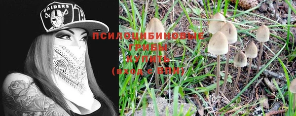 дурь Абинск
