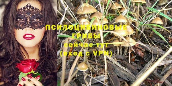 каннабис Абаза