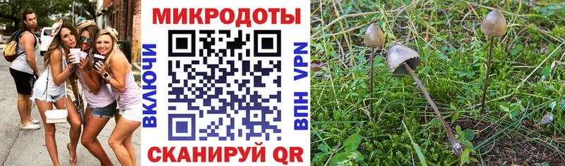 Псилоцибиновые грибы GOLDEN TEACHER  как найти   Ступино 
