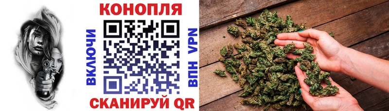 Конопля конопля  mega   Ступино 
